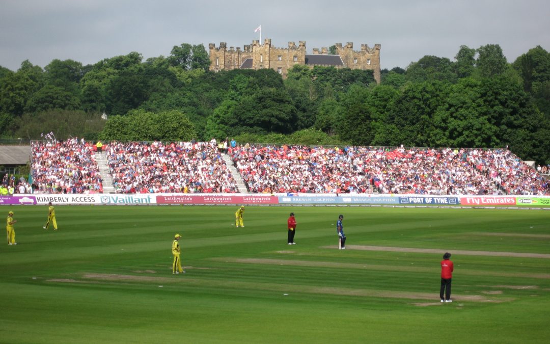 CRICKET_1.jpg