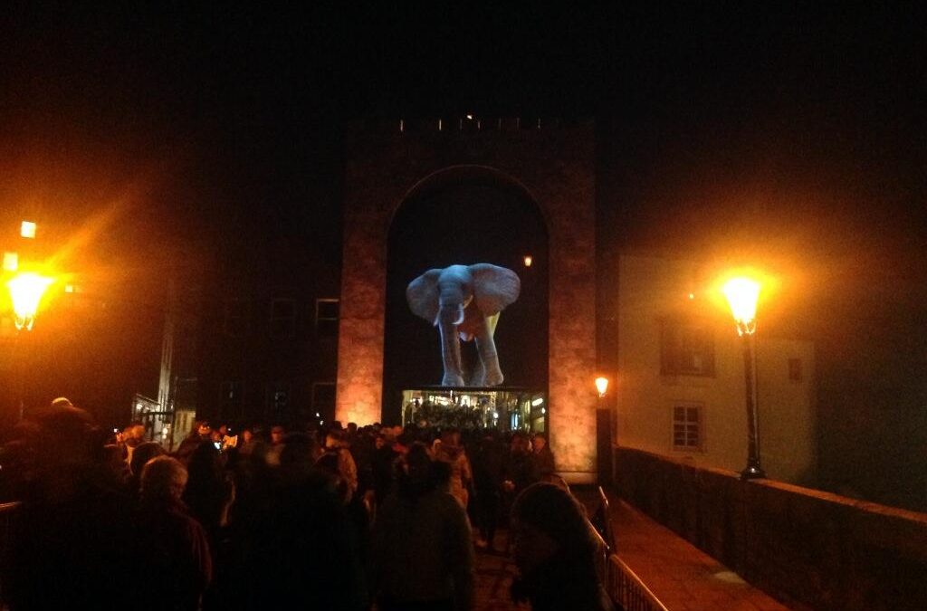 LUMIERE_NOV_2013.jpg